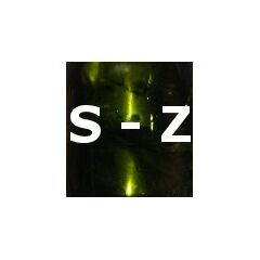 S - Z