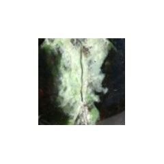 Chromopal (Opal-Chalcedon)