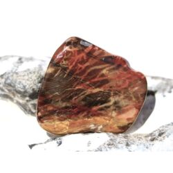 Versteinertes Holz Trommelstein - Sonderqualit&auml;t - ca. 3 cm x 2,9 cm x 1,1 cm (Fairer Handel / GKS)