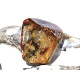 Versteinertes Holz Trommelstein - Sonderqualit&auml;t - ca. 3 cm x 2,9 cm x 1,1 cm (Fairer Handel / GKS)