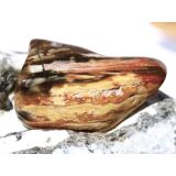 Versteinertes Holz XXL Trommelstein - Sonderqualit&auml;t...