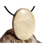 Versteinerte Koralle XXL Schmuckstein Cabochon /...