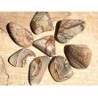 Landschaftsjaspis Wassersteine-Sonderqualit&auml;t / Trommelsteine roh - ca. 100 g (GKS)