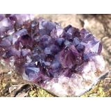 Amethyst Kristallstufe / Ladestufe mitteldunkel (Brasilien) - AA-Sonderqualität - ca. 30 cm x 12 cm x 8 cm