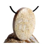 Versteinerte Koralle XXL Schmuckstein Cabochon /...