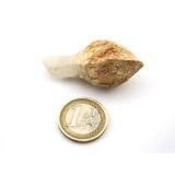 Bergkristall "Zepterquarz / Szepterquarz"...