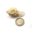 Bergkristall "Zepterquarz / Szepterquarz" Natur-Kristall - Rarität - ca. 5 cm x 2,3 cm x 2,2 cm