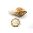 Bergkristall "Zepterquarz / Szepterquarz" Natur-Kristall - Rarität - ca. 5 cm x 2,3 cm x 2,2 cm