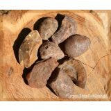 Karneol natur (Carneol) Wassersteine / Rohsteine extra angetrommelt - ca. 50 g