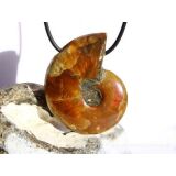 Ammonit XXXL Schmuckstein gebohrt (ganz - irisierend) - Sonderqualität - ca. 5 cm x 3,9 cm x 1,4 cm