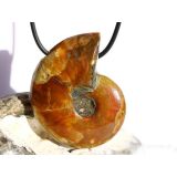 Ammonit XXXL Schmuckstein gebohrt (ganz - irisierend) - Sonderqualität - ca. 5 cm x 3,9 cm x 1,4 cm