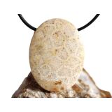 Versteinerte Koralle XXL Schmuckstein Cabochon /...