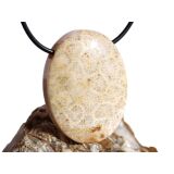 Versteinerte Koralle XXL Schmuckstein Cabochon /...