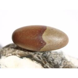 Shiva Lingam Ei (Sandstein/Tonstein) Trommelstein - Sonderqualität - ca. 3,1 cm x 1,4 cm (GKS)
