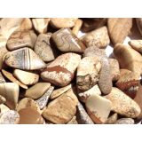 Landschaftsjaspis Trommelsteine mini (S) - ca. 1 - 3 cm /...