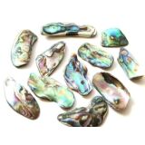 Paua-Muschel (Abalone) - ca. 3 - 3,4 cm
