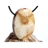 Versteinerte Koralle XXL Schmuckstein Cabochon /...