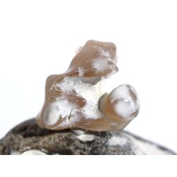 Schlangenhautachat Trommelstein - Sonderqualität - ca. 3 cm x 2,8 cm x 1,8 cm (GKS)