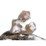 Schlangenhautachat Trommelstein - Sonderqualit&auml;t -...