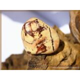 Pyrophyllit XXL Trommelstein / Handschmeichler - Sonderqualit&auml;t - ca. 3,7 cm x 3,6 cm x 2,2 cm (GKS)