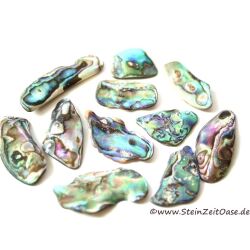 Paua-Muschel (Abalone) - ca. 2 - 2,5 cm / 20 g