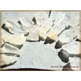 Petalit (Petalith) farblos-wei&szlig; natur Kristalle /...