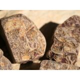 Schlangenjaspis (Schlangenstein / Fossilienkalk)...