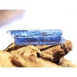Disthen blau Kristallstab / Rohkristall (Cyanit / Kyanit) - Dose - AA-Sonderqualität - Rarität - ca. 2,9 cm x 0,8 cm x 0,3 cm (Fairer Handel/GKS)