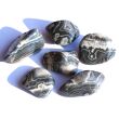 Achat grau (Ashburton Achat) Trommelsteine - Sonderqualität - ca. 2,5 - 2,7 cm / ca. 9 g/St (Fairer Handel / GKS)