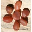 Karneol natur (Carneol) Wassersteine-A-Sonderqualität / Trommelsteine roh - ca. 50 g (GKS)