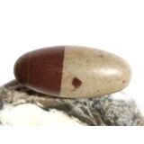 Shiva Lingam Ei (Sandstein/Tonstein) Trommelstein -...