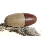 Shiva Lingam Ei (Sandstein/Tonstein) Trommelstein -...