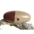 Shiva Lingam Ei (Sandstein/Tonstein) Trommelstein - Sonderqualität - ca. 3 cm x 1,3 cm (GKS)