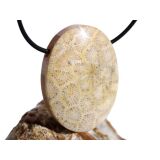 Versteinerte Koralle XXL Schmuckstein Cabochon /...