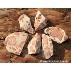 Kalkoolith Wassersteine-Sonderqualit&auml;t / Rohsteine extra angetrommelt - ca. 50 g (GKS) - Restbestand -