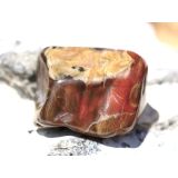 Versteinertes Holz Trommelstein - Sonderqualit&auml;t -...