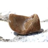 Versteinertes Holz Trommelstein - Sonderqualit&auml;t - ca. 3,7 cm x 2 cm x 1,7 cm (Fairer Handel / GKS)