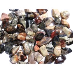 Silberblattjaspis (Brekzienjaspis) Trommelsteine mini (S) - Sonderqualität - ca. 1 - 2,8 cm / ca. 50 g