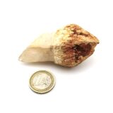 Bergkristall "Zepterquarz / Szepterquarz"...