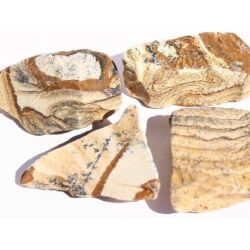 Landschaftsjaspis Wassersteine-Sonderqualität / Rohsteine extra angetrommelt - ca. 50 g