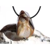 Peanutwood (versteinertes Holz) XL Trommelstein gebohrt -...