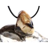 Peanutwood (versteinertes Holz) Trommelstein gebohrt -...