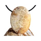 Versteinerte Koralle XXL Schmuckstein Cabochon /...