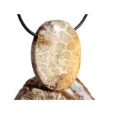 Versteinerte Koralle XXL Schmuckstein Cabochon /...