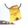 Bernstein XXL Trommelstein gebohrt - Sonderqualität - ca. 5 cm x 3,2 cm x 1,3 cm