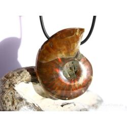Ammonit XXXL Schmuckstein gebohrt (ganz - irisierend) - Sonderqualität - ca. 4,7 cm x 3,6 cm x 1,3 cm