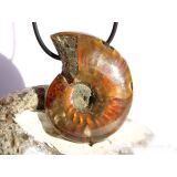 Ammonit XXXL Schmuckstein gebohrt (ganz - irisierend) - Sonderqualität - ca. 4,7 cm x 3,6 cm x 1,3 cm