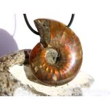 Ammonit XXXL Schmuckstein gebohrt (ganz - irisierend) - Sonderqualität - ca. 4,7 cm x 3,6 cm x 1,3 cm