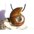 Ammonit XXXL Schmuckstein gebohrt (ganz - irisierend) - Sonderqualität - ca. 4,7 cm x 3,6 cm x 1,3 cm