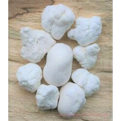 Magnesit-Knolle Wassersteine-Sonderqualität / Rohsteine extra angetrommelt - ca. 50 g (GKS)